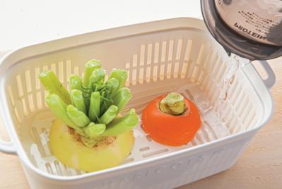 キッチンで簡単に育つ【リボベジ】リーフレタス、ニンジン、ダイコンの栽培方法は？（サムネイル画像14）