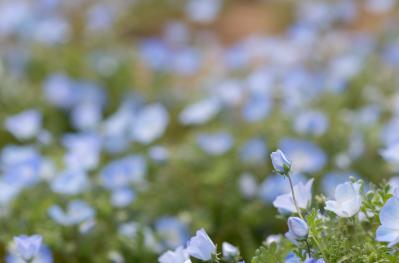 「結婚しない40歳の子どもが心配…」親の不安を軽くする禅の考え方とは？【禅僧・枡野俊明さん】（サムネイル画像2）