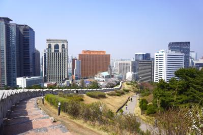 【2026年最新】ソウルの桜が意外と早い！南山をバスでラクに登って徒歩で下山（サムネイル画像12）