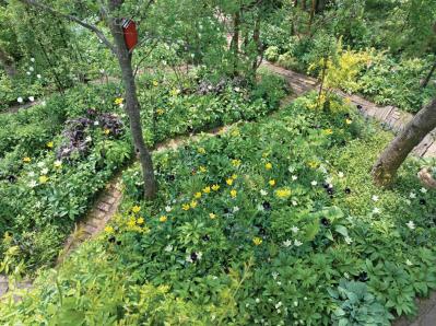 【チューリップ】が庭一面を彩る！  埼玉のオープンガーデン「グリーンローズ」が公開スタート（サムネイル画像10）