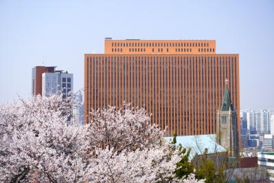 【2026年最新】ソウルの桜が意外と早い！南山をバスでラクに登って徒歩で下山（サムネイル画像13）