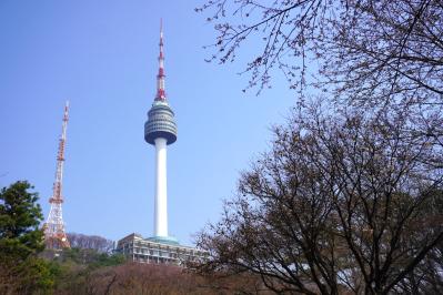 【2026年最新】ソウルの桜が意外と早い！南山をバスでラクに登って徒歩で下山（サムネイル画像8）