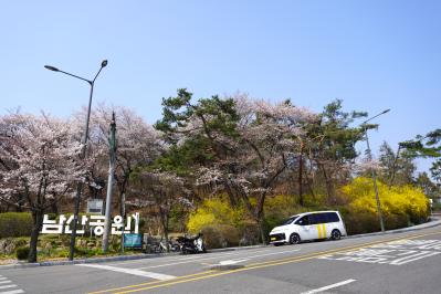 【2026年最新】ソウルの桜が意外と早い！南山をバスでラクに登って徒歩で下山（サムネイル画像2）
