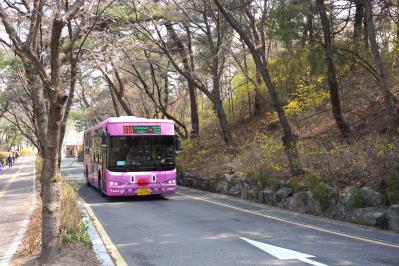 【2026年最新】ソウルの桜が意外と早い！南山をバスでラクに登って徒歩で下山（サムネイル画像5）