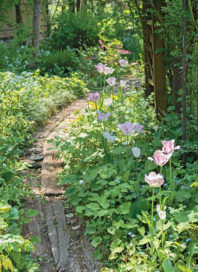 【チューリップ】が庭一面を彩る！  埼玉のオープンガーデン「グリーンローズ」が公開スタート（サムネイル画像4）