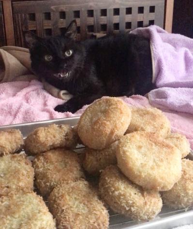 【マンガ・老猫日誌＃56】老猫にとってのおいしいおやつ〜19歳の元保護猫・桃姐（サムネイル画像4）