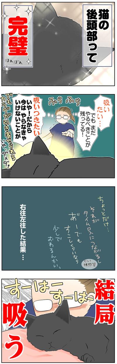【マンガ・老猫日誌＃57】桃姐の後頭部を猫吸いする幸せ〜19歳の元保護猫・桃姐（サムネイル画像3）