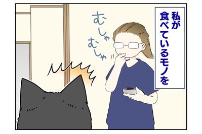 【マンガ・老猫日誌＃56】老猫にとってのおいしいおやつ〜19歳の元保護猫・桃姐