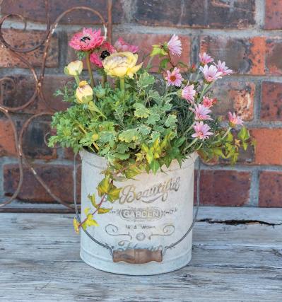 フローラ黒田園芸【黒田健太郎さん】が伝授！ カラフルな「ラナンキュラス×アネモネ」の寄せ植え（サムネイル画像2）