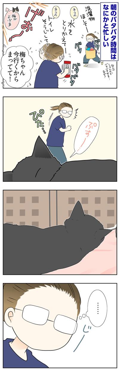 【マンガ・老猫日誌＃57】桃姐の後頭部を猫吸いする幸せ〜19歳の元保護猫・桃姐（サムネイル画像2）