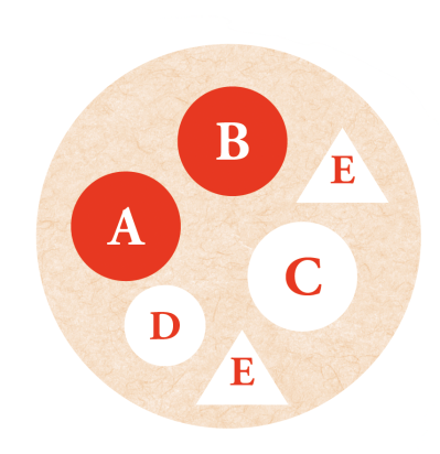 フローラ黒田園芸【黒田健太郎さん】が伝授！ カラフルな「ラナンキュラス×アネモネ」の寄せ植え（サムネイル画像3）