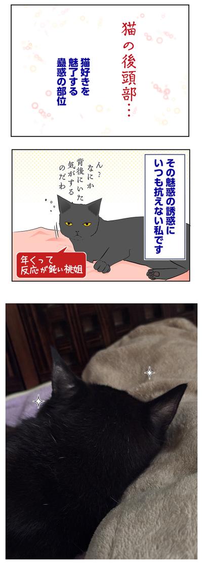 【マンガ・老猫日誌＃57】桃姐の後頭部を猫吸いする幸せ〜19歳の元保護猫・桃姐（サムネイル画像4）