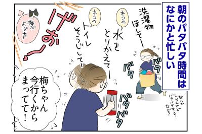 【マンガ・老猫日誌＃57】桃姐の後頭部を猫吸いする幸せ〜19歳の元保護猫・桃姐