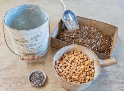 フローラ黒田園芸【黒田健太郎さん】が伝授！ カラフルな「ラナンキュラス×アネモネ」の寄せ植え（サムネイル画像5）