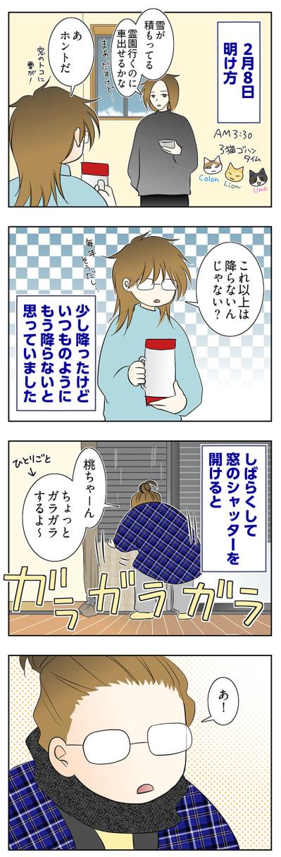 【マンガ・老猫日誌＃63】老猫が最後に叶えてくれたこと〜19歳の元保護猫・桃姐（サムネイル画像3）