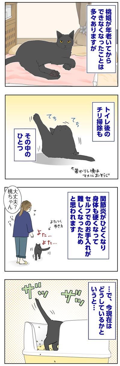 【マンガ・老猫日誌＃60】老猫、キレイを要求する！？〜19歳の元保護猫・桃姐（サムネイル画像2）