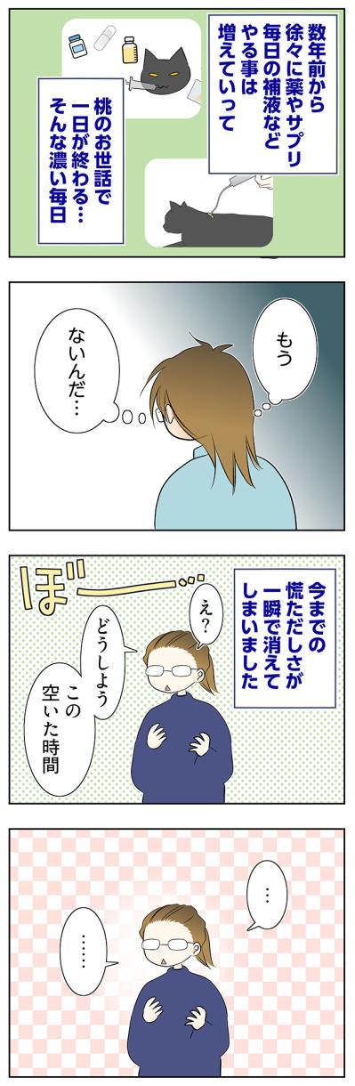 【マンガ・老猫日誌＃62】介護生活が終わって〜19歳の元保護猫・桃姐（サムネイル画像3）