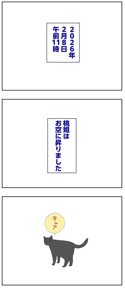【マンガ・老猫日誌＃62】介護生活が終わって〜19歳の元保護猫・桃姐（サムネイル画像5）