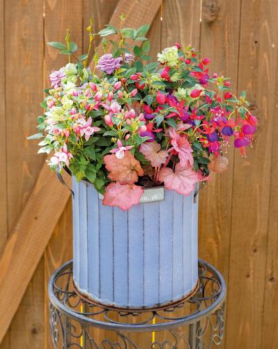 YouTubeで大人気！【オニちゃん】の愛らしいピンクの花で作る「春の寄せ植え」（サムネイル画像10）