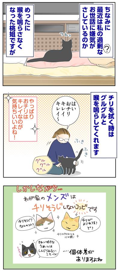 【マンガ・老猫日誌＃60】老猫、キレイを要求する！？〜19歳の元保護猫・桃姐（サムネイル画像4）