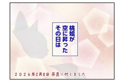 【マンガ・老猫日誌＃63】老猫が最後に叶えてくれたこと〜19歳の元保護猫・桃姐