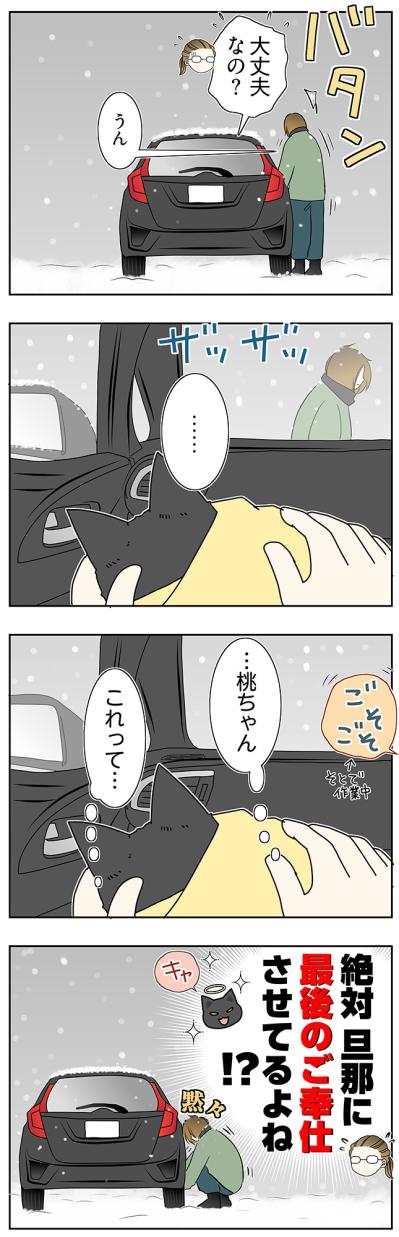 【マンガ・老猫日誌＃65】旅立つ老猫を見送る朝〜19歳の元保護猫・桃姐（サムネイル画像4）