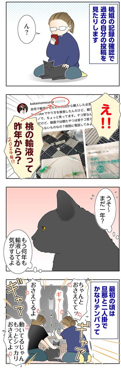【マンガ・老猫日誌＃58】老猫と過ごす時間は濃い〜19歳の元保護猫・桃姐（サムネイル画像2）