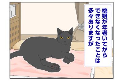 【マンガ・老猫日誌＃60】老猫、キレイを要求する！？〜19歳の元保護猫・桃姐