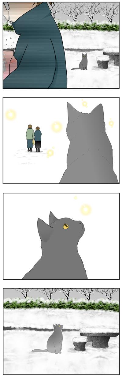 【マンガ・老猫日誌＃66】そして、雪はやんだ〜19歳の元保護猫・桃姐（サムネイル画像5）