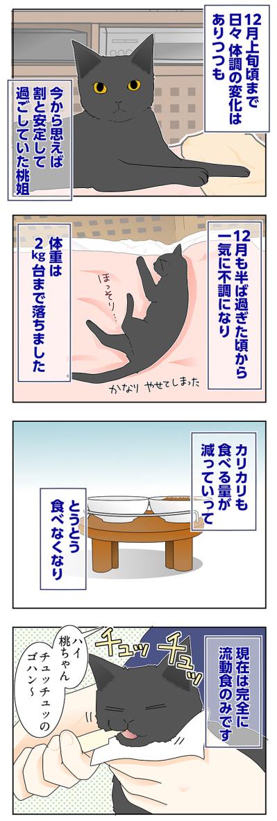 【マンガ・老猫日誌＃61】老猫、がんばる！〜19歳の元保護猫・桃姐（サムネイル画像2）