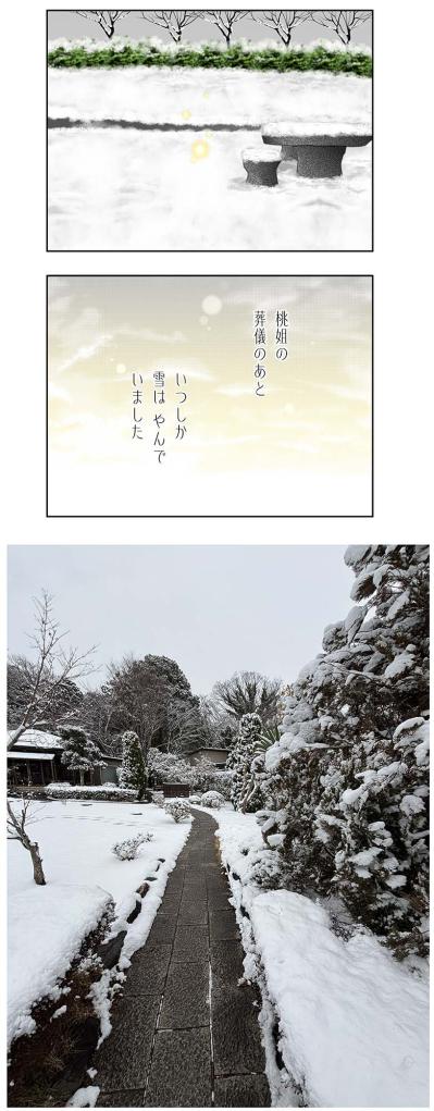 【マンガ・老猫日誌＃66】そして、雪はやんだ〜19歳の元保護猫・桃姐（サムネイル画像6）