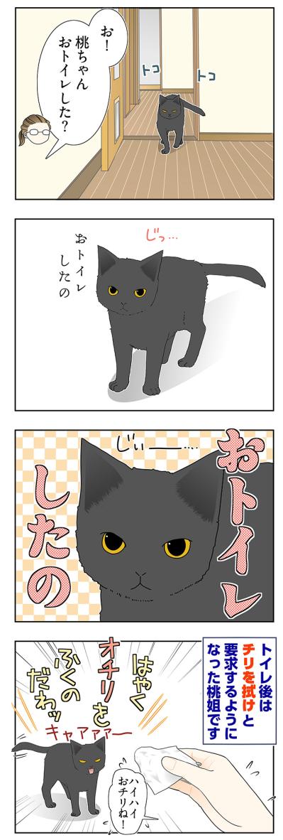 【マンガ・老猫日誌＃60】老猫、キレイを要求する！？〜19歳の元保護猫・桃姐（サムネイル画像3）