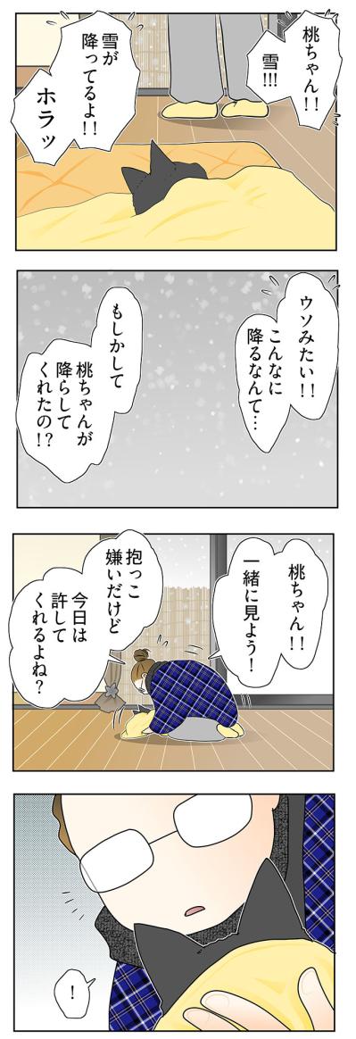 【マンガ・老猫日誌＃64】桃姐が見せた最後の奇跡〜19歳の元保護猫・桃姐（サムネイル画像2）