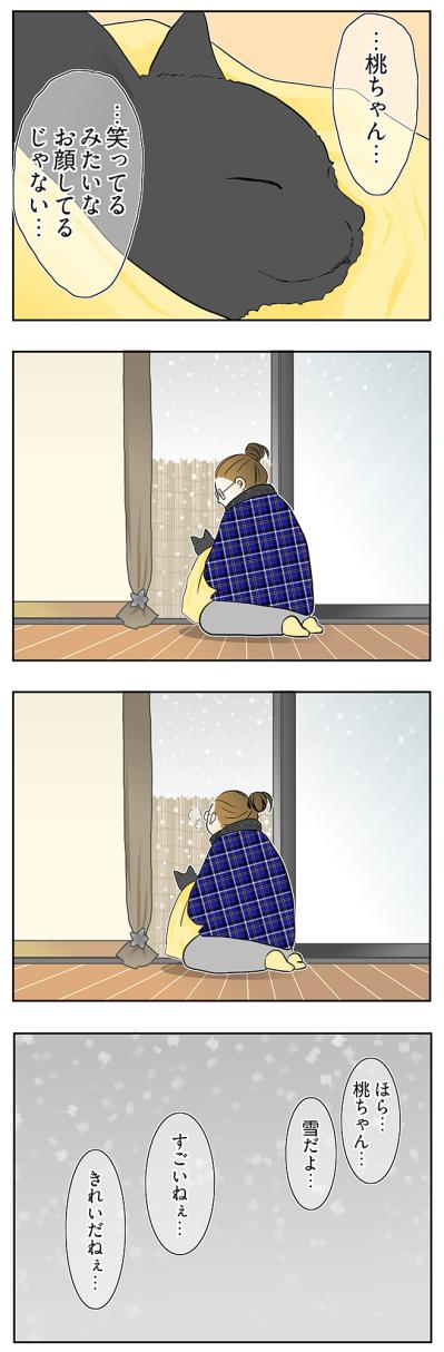 【マンガ・老猫日誌＃64】桃姐が見せた最後の奇跡〜19歳の元保護猫・桃姐（サムネイル画像3）