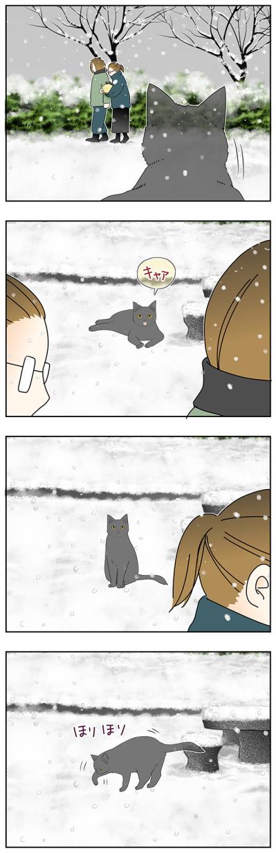 【マンガ・老猫日誌＃66】そして、雪はやんだ〜19歳の元保護猫・桃姐（サムネイル画像3）