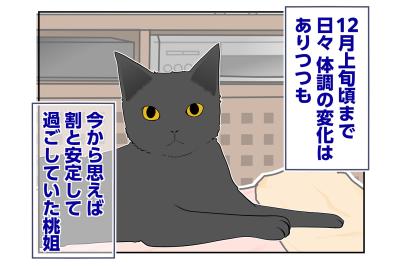 【マンガ・老猫日誌＃61】老猫、がんばる！〜19歳の元保護猫・桃姐