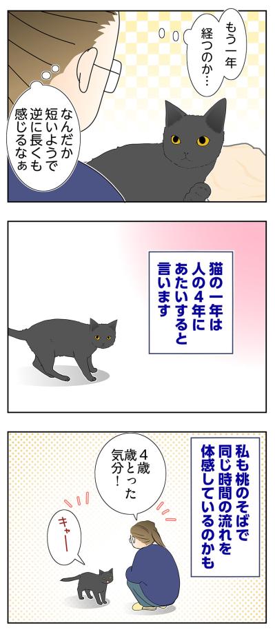 【マンガ・老猫日誌＃58】老猫と過ごす時間は濃い〜19歳の元保護猫・桃姐（サムネイル画像4）