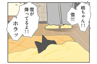 【マンガ・老猫日誌＃64】桃姐が見せた最後の奇跡〜19歳の元保護猫・桃姐
