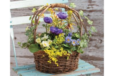 春を彩る【アネモネの寄せ植え】フローラ黒田園芸・黒田健太郎さんのおしゃれなバスケットアレンジ