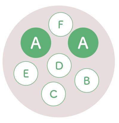 人気園芸店・店主【オニちゃん】が提案！ イエロー＆ホワイトの「春の寄せ植え」（サムネイル画像6）