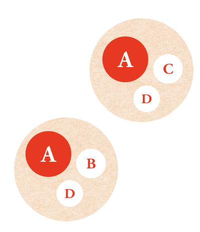 春を彩る【アネモネの寄せ植え】フローラ黒田園芸・黒田健太郎さんのおしゃれなバスケットアレンジ（サムネイル画像4）
