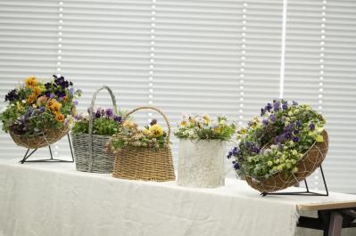 寄せ植えで失敗する原因は「土の入れ方」にあり!?  YouTubeで大人気！【オニちゃん】直伝（サムネイル画像5）