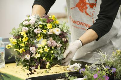 人気YouTuber【オニちゃん】が伝授！おしゃれな「寄せ植え」を作る3つのルールとは？（サムネイル画像8）