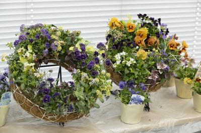 人気YouTuber【オニちゃん】が伝授！おしゃれな「寄せ植え」を作る3つのルールとは？