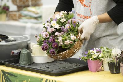 人気YouTuber【オニちゃん】が伝授！おしゃれな「寄せ植え」を作る3つのルールとは？（サムネイル画像5）