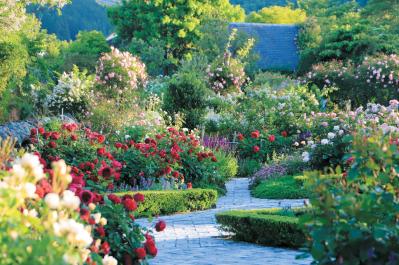 English Garden  ローザンベリー多和田（サムネイル画像）