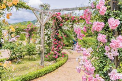 河津バガテル公園（サムネイル画像）