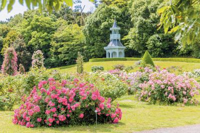 河津バガテル公園（サムネイル画像）