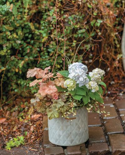 コンパクトだから気軽に楽しめる【小さなアジサイの寄せ植え】リーフプランツとのコラボが素敵！（サムネイル画像5）