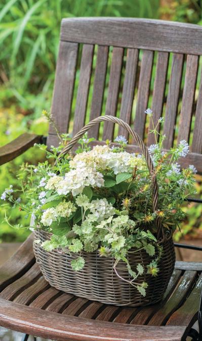 小さなアジサイのポット苗で作る！ホワイトカラーの【フラワーバスケット】プレゼントにも◎（サムネイル画像3）